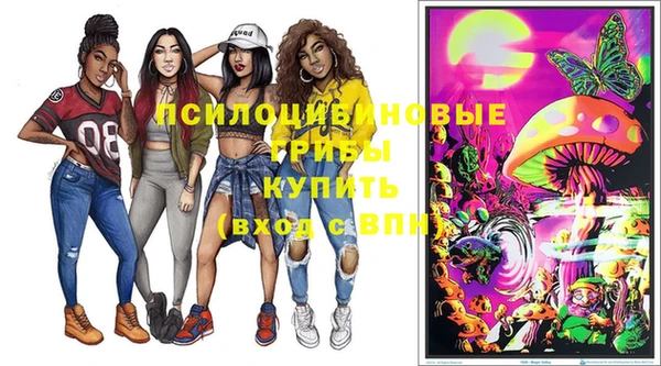 прущие крисы Алзамай