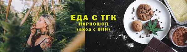 тгк Алексин