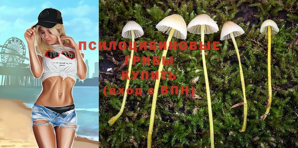 spice Алексеевка