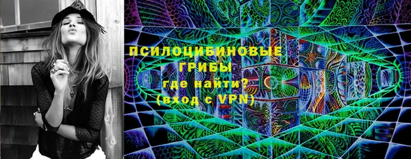 тгк Алексин