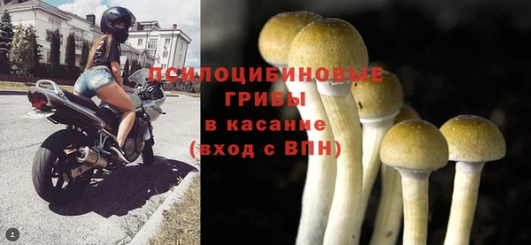 прущие крисы Алзамай
