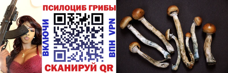 Псилоцибиновые грибы Magic Shrooms  Рошаль 